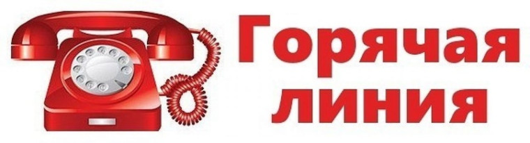 Номер телефона горячей линии по вопросам организации тестирования по русскому языку для иностранных граждан.