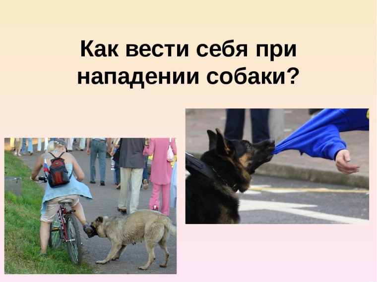 Памятка.